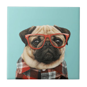 Plast Shirt Pug Kakelplatta