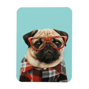 Plast Shirt Pug Magnet