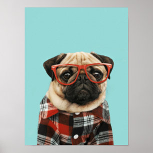Plast Shirt Pug Poster