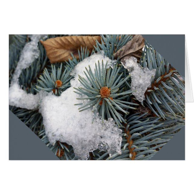 plåster av snö hälsningskort (Framsidan Horizontal)