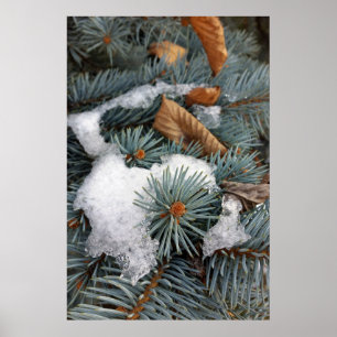 plåster av snö poster