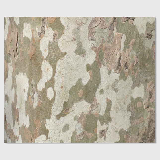 Platan kamouflage ser barkmönster presentpapper (Platt)
