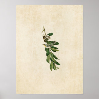 Plate 85 | Varare för Gult Poster