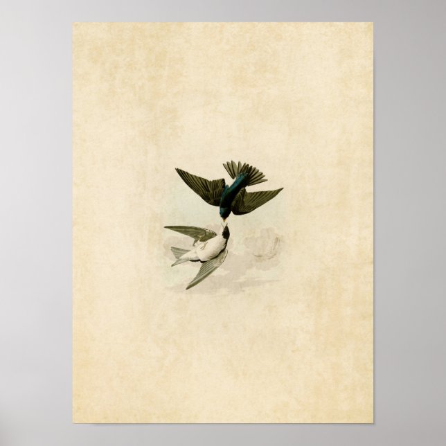 Plate 98 | Vit-Blått Svälj Poster (Framsidan)