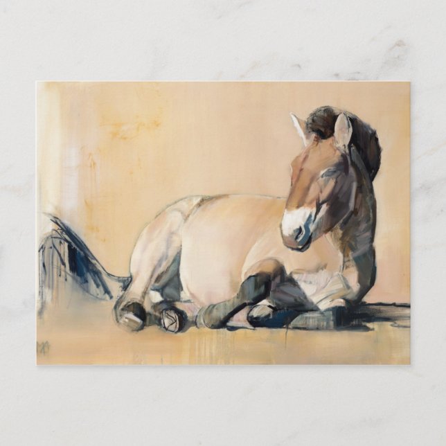 Plateau Sol Vykort (Framsida)