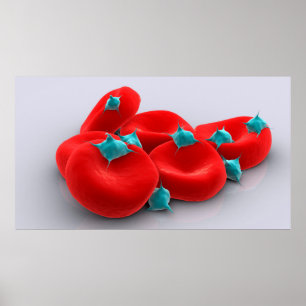 Platelets med röda blodceller 1 poster