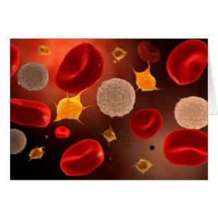 Platelets med röda blodceller 2 hälsningskort