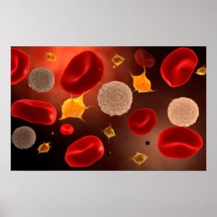 Platelets med röda blodceller 2 poster