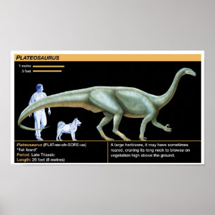 Plateosaurus - Biologi Juraperioden Poster