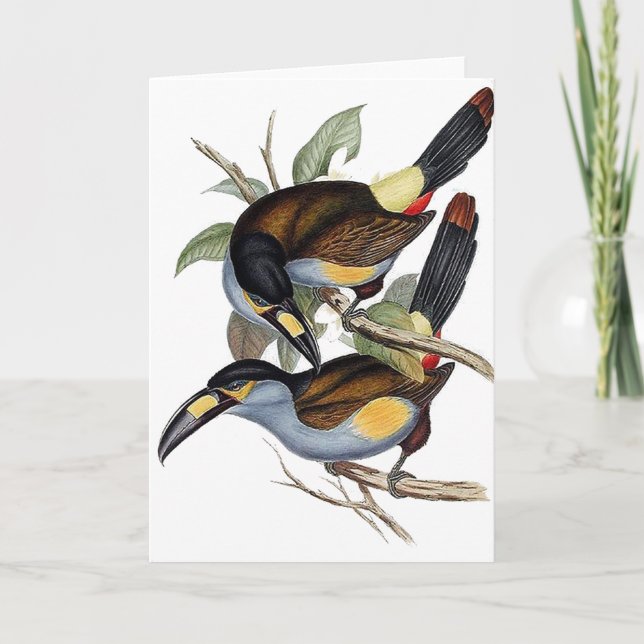 Plätera-fakturerat berg Toucan Kort (Framsida)