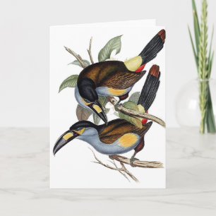 Plätera-fakturerat berg Toucan Kort