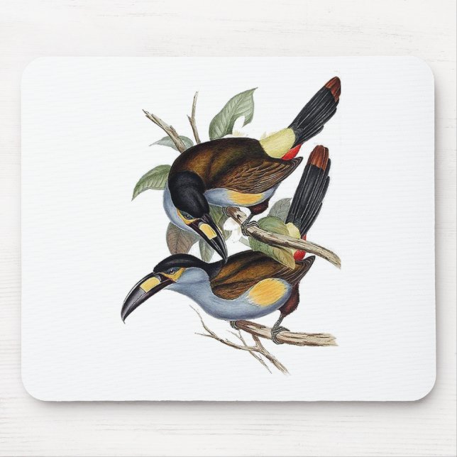 Plätera-fakturerat berg Toucan Musmatta (Framsidan)
