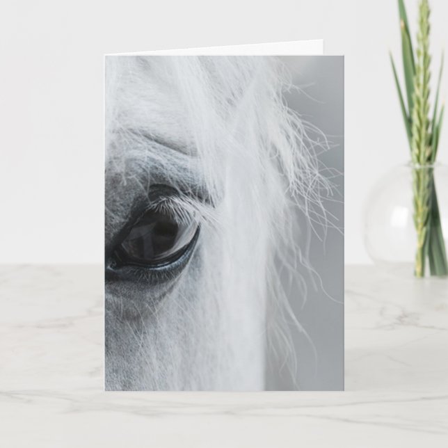 Platinum Equine Greeting Card Kort (Framsida)