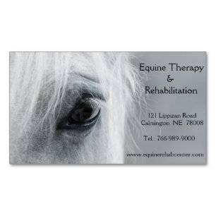 Platinum Equine Skräddarsydd Magnetisk Affärskort Magnetiska Visitkort