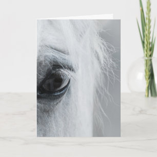 Platinum Equine Välkomstkort Kort