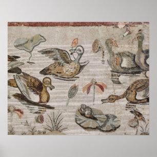 Plats av waterfowl på Nilen, hus av faunen Poster