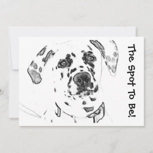 Plats för Dalmatiens inbjudan