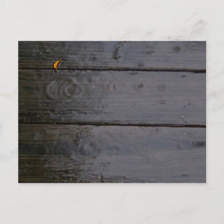 "Plats för Färg" vykort