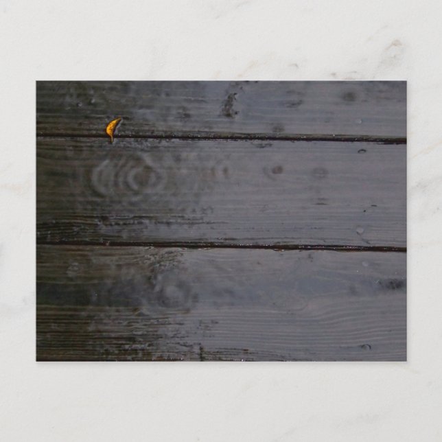 "Plats för Färg" vykort (Framsida)