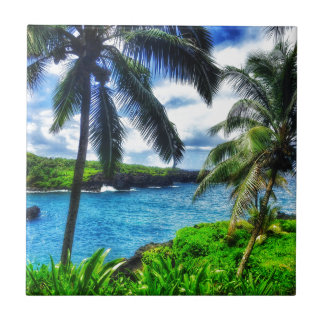 Plats för hawaiibo IMG_1122 4 Kakelplatta