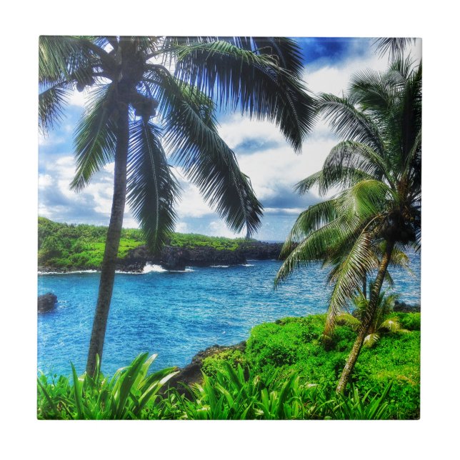 Plats för hawaiibo IMG_1122 4 Kakelplatta (Framsidan)