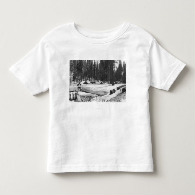 Plats för Sequoianationalparksnö i by Tee Shirt (Framsida)