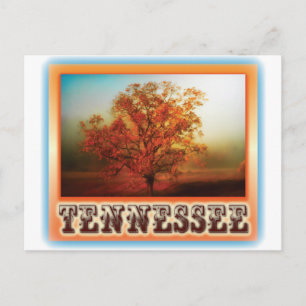 Plats för Tennessee nedgångträd Vykort