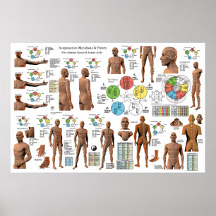 Platser för Acupuncture Meridian Point Poster