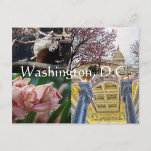 Platser i Washington, D.C. Vykort