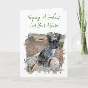 Platshållare för Hund av boskap saknar din mall