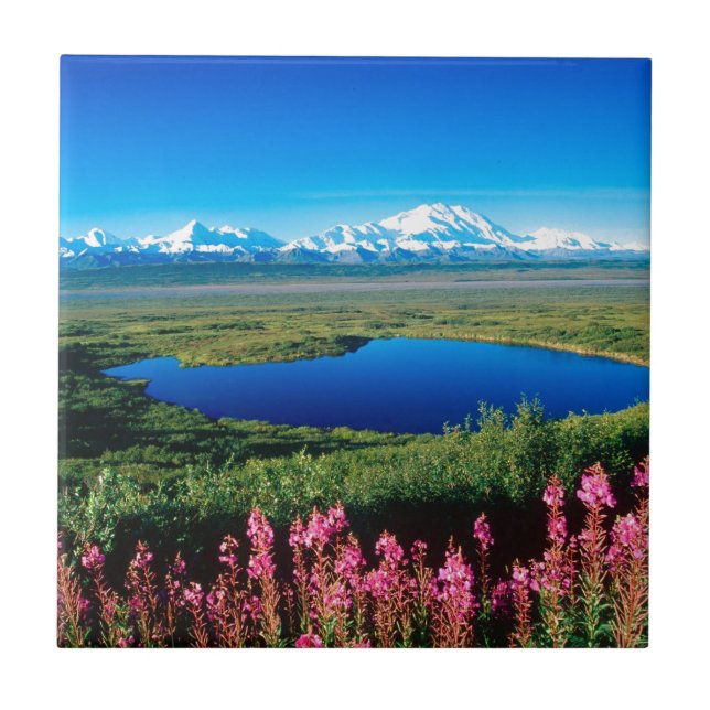 PlatsTundra Mount McKinley Denali Alaska Kakelplatta (Framsidan)