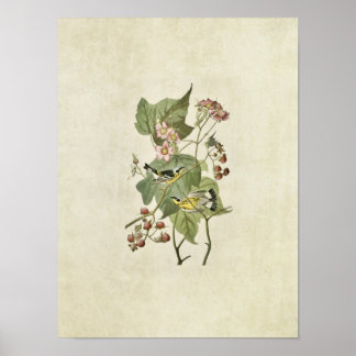 Platt 123 | Varare för svartvitt och Gult Poster