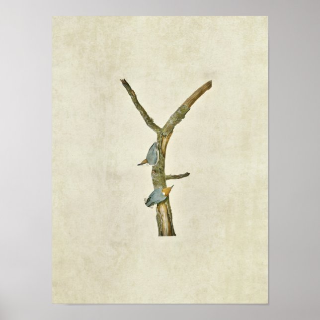 Platt 125 | Brun atch Poster (Framsidan)