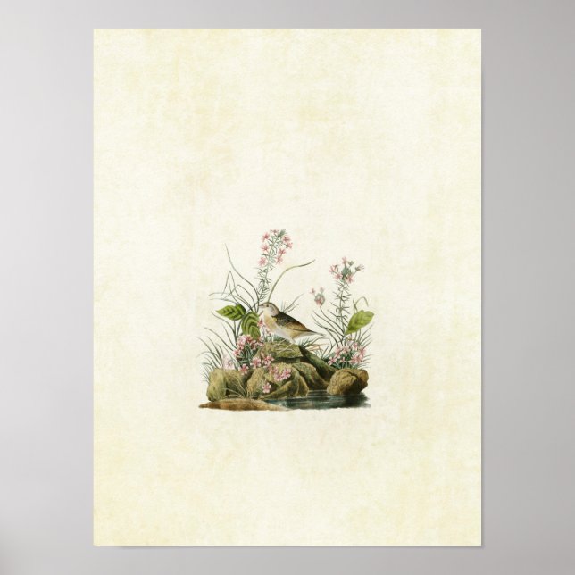 Platt 130 | Sparrad Gult Poster (Framsidan)