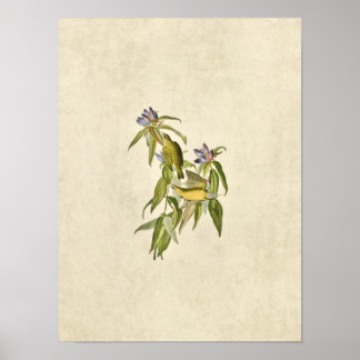 Platt 138 | Kopplingsvarare | Amerikanska fåglar Poster