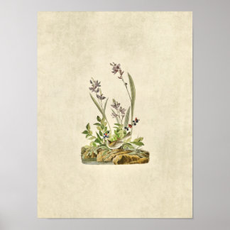 Platt 139 | Fält Sparrow | Amerikanska fåglar Poster