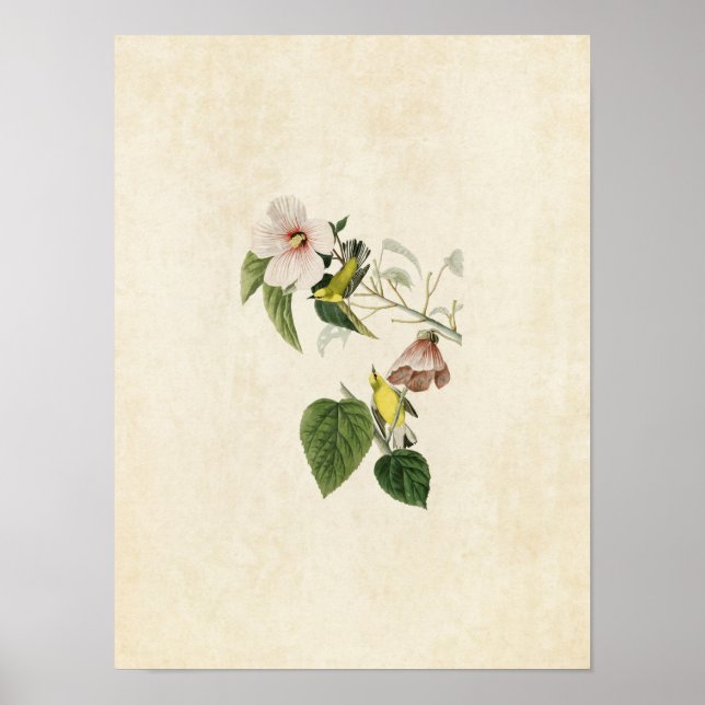 Platt 20 | Varare för blå Gult Poster (Framsidan)