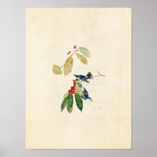 Platt 48 | Azure Warbler | Amerikanska fåglar Poster