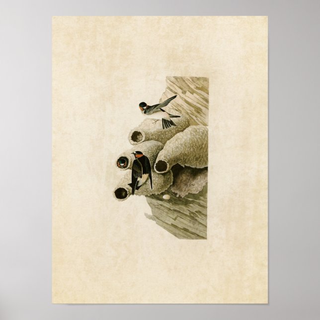 Platt 68 | Republican eller Cliff Sväljer Poster (Framsidan)