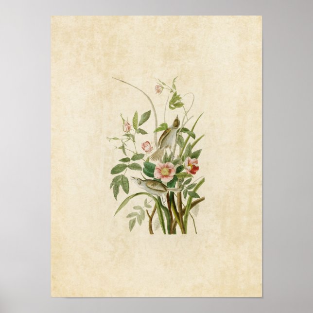 Platt 93 | Finschning av sjösidan | Amerikanska få Poster (Framsidan)