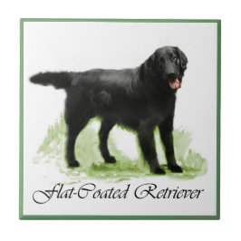 Platt, Jackat återgivningsgåvor Kakelplatta