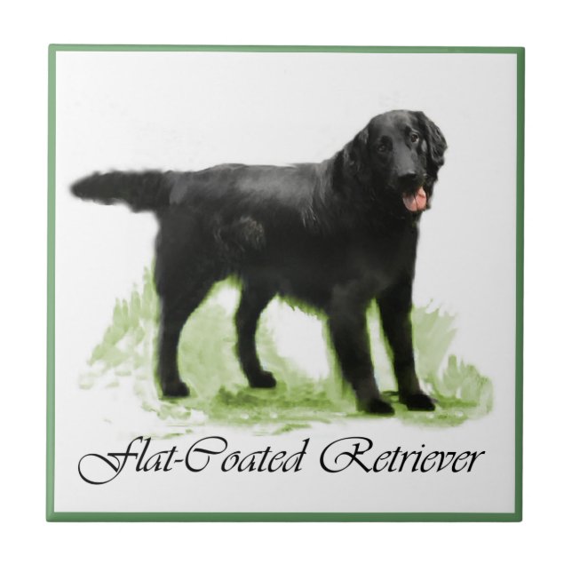 Platt, Jackat återgivningsgåvor Kakelplatta (Framsidan)