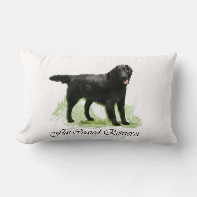 Platt, Jackat återgivningsgåvor Lumbarkudde (Framsida)