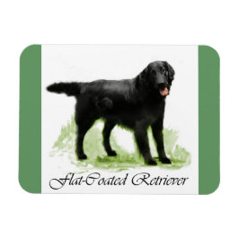 Platt, Jackat återgivningsgåvor Magnet