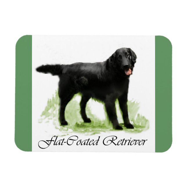 Platt, Jackat återgivningsgåvor Magnet (Horisontell)