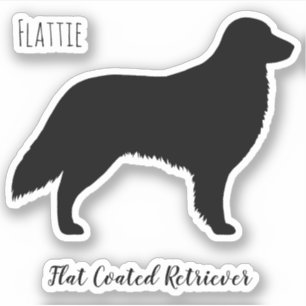 Platt, Jackat Retriever Silhouette Flattie-Hund Klistermärken