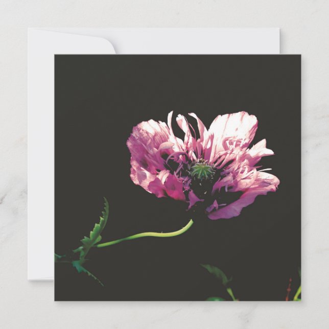 Platt kort (Framsida)