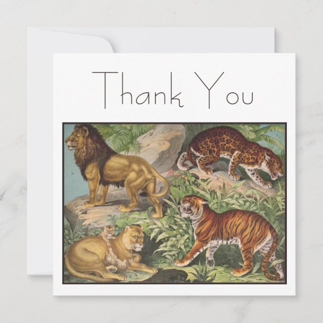 Platt kort (Framsida)