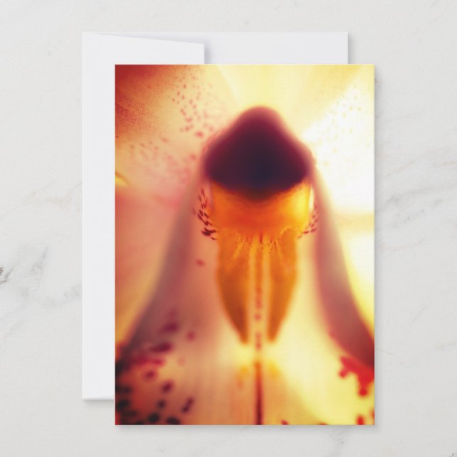 Platt kort för blommigtens utformning (Framsida)