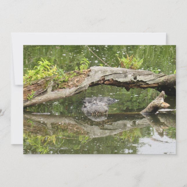 Platt kort för Stealth Alligator (Framsida)